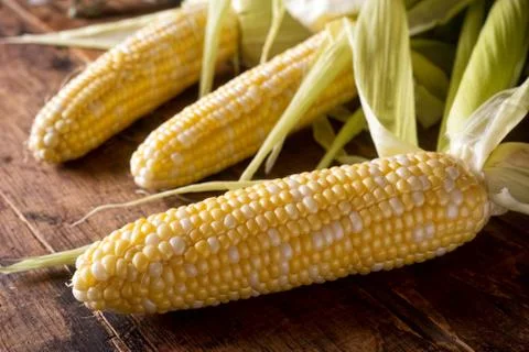 Fresh Corn on the Cob Stock Photos