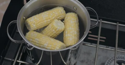 Fresh corn-on-the-cob in a pot of water on a camp stove Stock Footage 324762603