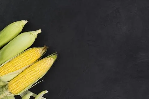 Fresh corn on the cob on a rustic black wooden table with copy space - top vi Stock Photos