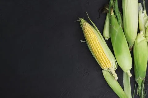 Fresh corn on the cob on a rustic black wooden table with copy space - top vi Stock Photos