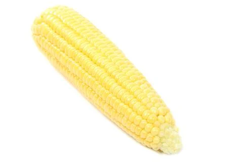 Fresh corn on the cob on white background. Stock Photos