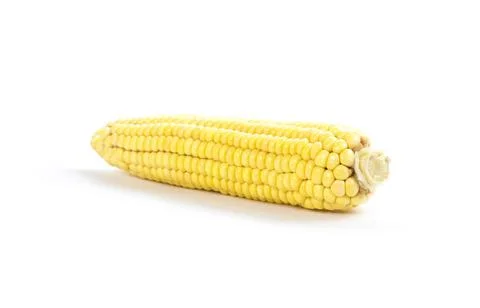 Fresh corn cob on white background Fotos Stock