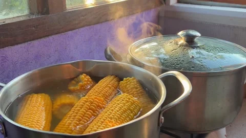 Fresh corn cobs boiling in a pot of water on a stove. Stock Footage 346018863