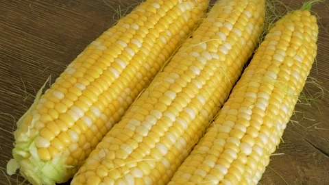 Fresh corn cobs close-up on wooden background. Stock Footage 159244867
