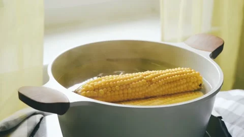 Fresh corn cobs cooking in hot water on stove 스톡 동영상 162568796
