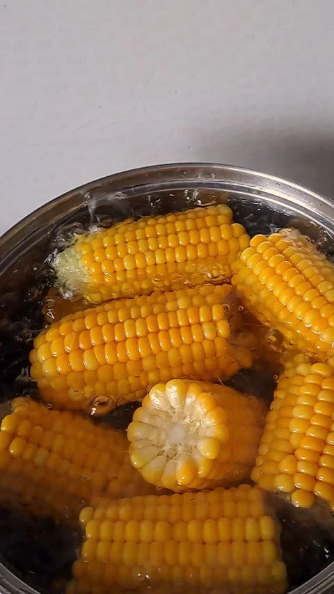 Fresh corn cobs Stock Footage 339747358