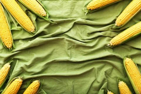 Fresh corn on cobs on green background. Top view witn copy space. Frame. Stock Photos