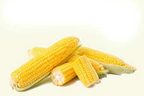 Fresh corn on cobs isolated on white Stock Photos