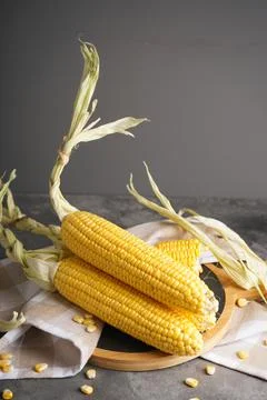 Fresh corn cobs on kitchen board with towel on gray background. Stock Photos