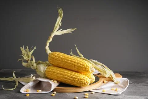Fresh corn cobs on kitchen board on gray background. Stock Photos