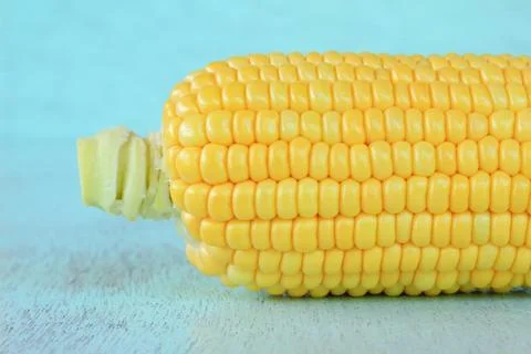 Fresh corn cobs Stock Photos