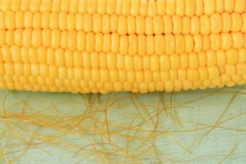 Fresh corn cobs Stock Photos