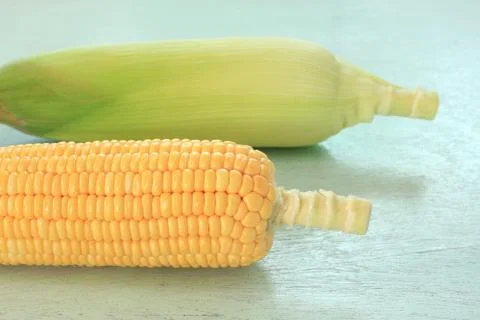 Fresh corn cobs Stock Photos