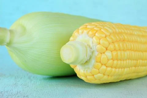 Fresh corn cobs Stock Photos