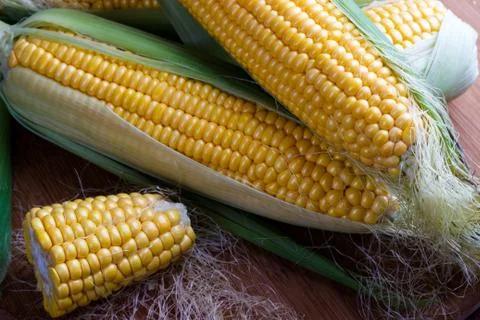 Fresh corn on cobs Stock Photos