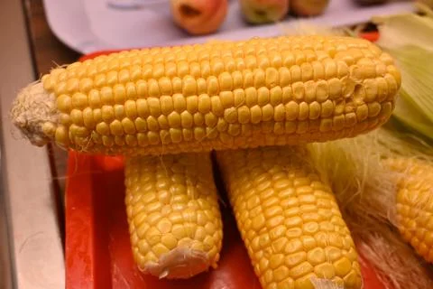 Fresh corn cobs 写真素材