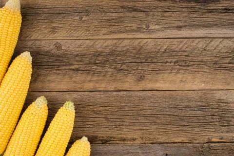 Fresh corn on cobs on rustic wooden table. Stock Photos