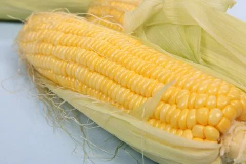 Fresh corn on cobs on texture background, closeup, top view Stock Photos