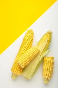 Fresh corn on cobs on white and yellow background. Stock Photos
