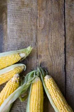 Fresh corn in cobs on wooden table, flat lay and copy space Stock Photos
