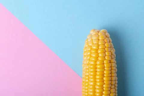 Fresh corn on a colored background. Scattered grains, halves of the product. Stock Photos