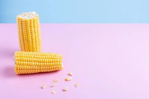 Fresh corn on a colored background. Scattered grains, halves of the product. Stock Photos