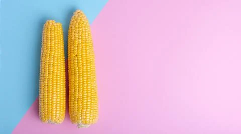 Fresh corn on a colored background. Scattered grains, halves of the product. Stock Photos