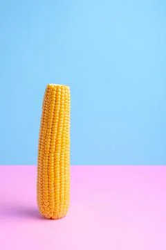 Fresh corn on a colored background. Scattered grains, halves of the product. Stock Photos