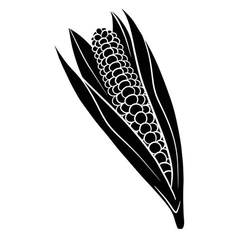 Fresh corn. Corn in the leaves. Vegetable ingredient for the kitchen. Stock Illustration