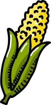 Fresh corn illustration Stock Illustration