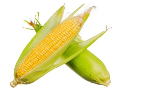 Fresh corn isolated on white background. Stock Photos