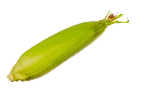 Fresh corn isolated on white background. Stock Photos