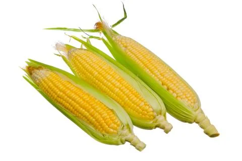 Fresh corn isolated on white background. Stock Photos