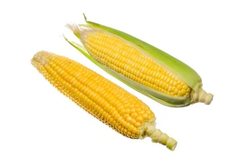 Fresh corn isolated on white background. Stock Photos