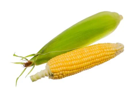 Fresh corn isolated on white background. Stock Photos