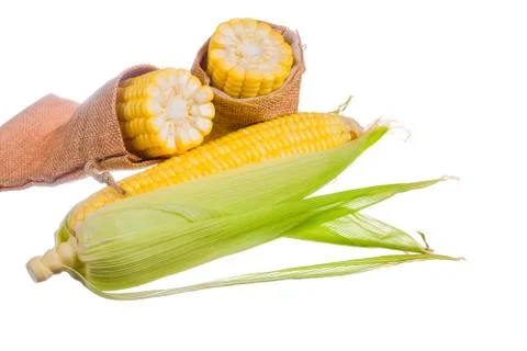 Fresh corn isolated on white background. Stock Photos