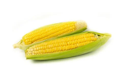 Fresh corn isolated on white background as package design element. vegan food Stock Photos