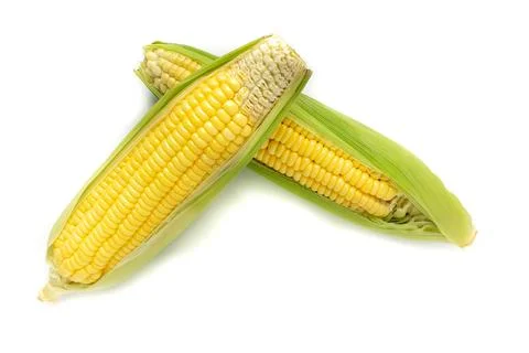 Fresh corn isolated on white background as package design element. vegan food Stock Photos