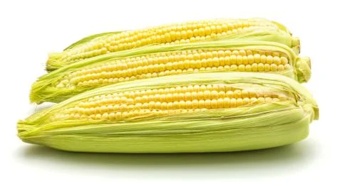 Fresh corn isolated on white Foto stock
