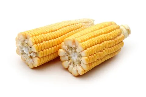 Fresh corn isolated on a white Stock Photos
