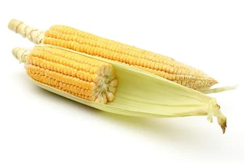 Fresh corn isolated on a white Stock Photos