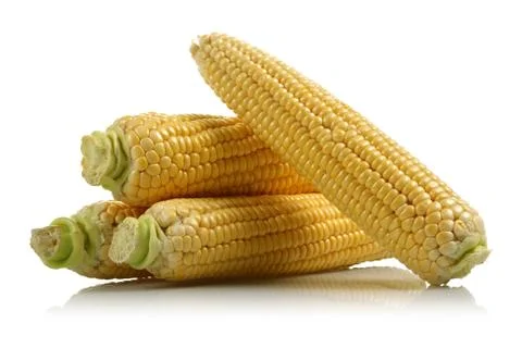 Fresh corn isolated on a white Stock Photos