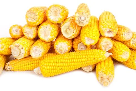 Fresh corn Stock Photos
