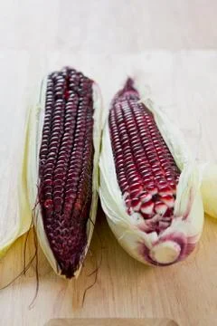 Fresh Corn Stock Photos