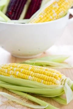 Fresh corn Stock Photos