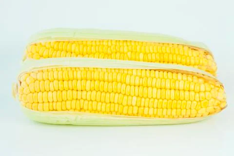 Fresh corn Stock Photos