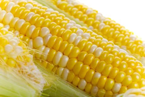 Fresh corn Stock Photos