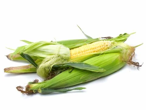 Fresh corn Stock Photos