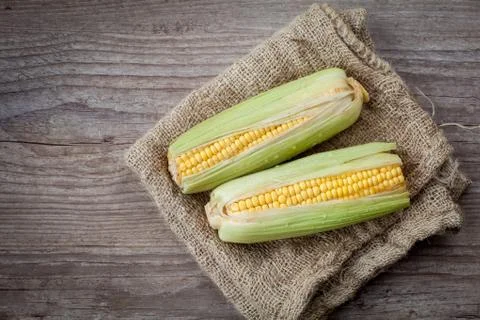 Fresh corn Stock Photos