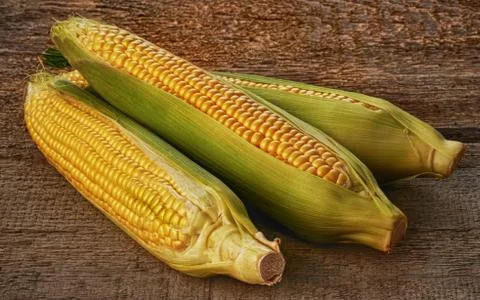 Fresh corn Stock Photos